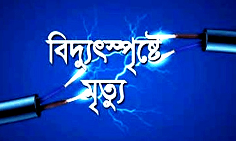 বিদ্যুৎপৃষ্ট হয়ে অটোরিকশা চালকের মৃত্যু